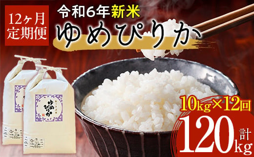 
            【令和6年産 新米】北海道厚沢部産ゆめぴりか120kg（10kg×12ヶ月連続お届け） 【 ふるさと納税 人気 おすすめ ランキング 米 ゆめぴりか ご飯 ごはん 白米 つや 粘り 北海道 厚沢部 送料無料 】 ASG013
          