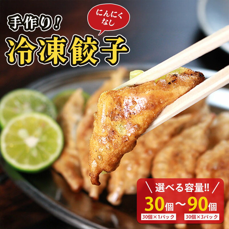 【ふるさと納税】 冷凍餃子 選べる単品 にんにくなし ( 30個×1p 2p 3p ) 餃子 セット ぎょうざ ギョウザ にんにく 不使用 肉 お肉 豚肉 豚 鶏肉 鳥 おつまみ 加工品 肉汁 惣菜 お弁当 冷凍ストック 寺岡商店 香川県 丸亀市
