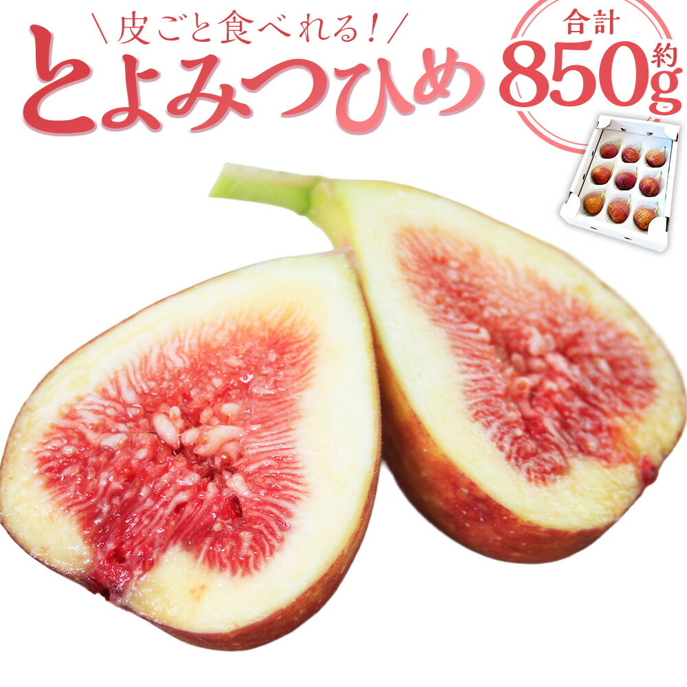【ふるさと納税】皮ごと食べれる！ とよみつひめ 850g前後 【2026年7月下旬～9月上旬発送予定】 いちじく イチジク 無花果 くだもの 果物 フルーツ 国産 国産フルーツ 福岡県産 冷蔵 福岡県 香春町 送料無料