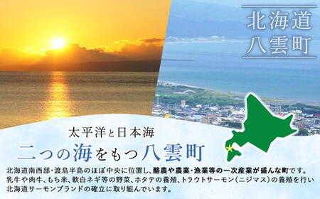 北海道八雲町　宿泊割引券3,000円分×4枚 | ホテル ホテルチケット 観光 宿泊