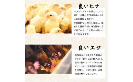 【定期便】毎月/３回 卵 合計240個 無選別 MS〜LL 京の贈り物 20個×4パック×3回 30,000円