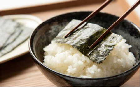【全3回定期便】一番摘み 有明海産 焼き のり 100枚 ( 10枚 × 10袋 ）博多 海苔 福岡 《糸島》【博多海苔】[ACG003]