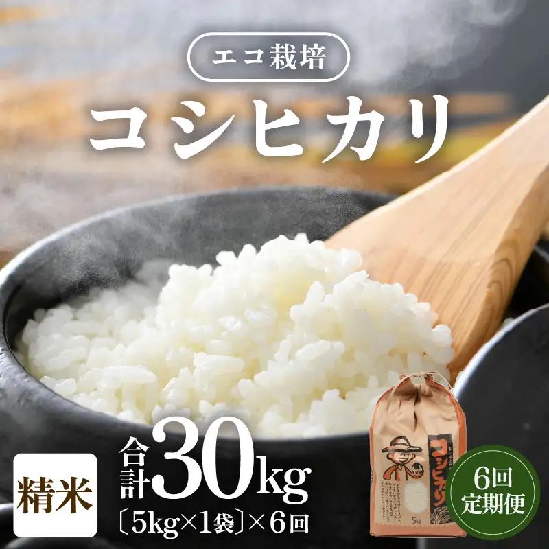 【先行予約】【令和8年産 新米】【一等米】定期便 ≪6ヶ月連続お届け≫ エコ栽培コシヒカリ  白米5kg×6回 計30kg ／ 鮮度抜群 福井県産 こしひかり ご飯 新鮮 白米 ※2026年10月上旬以降順次発送 [aw063-e009]