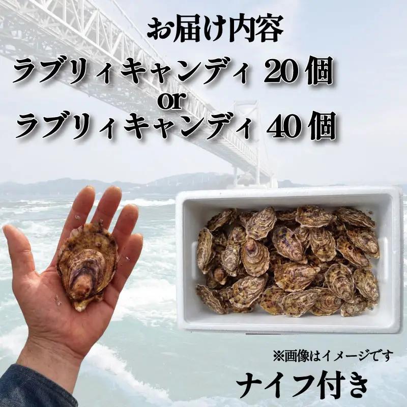 【先行予約】 牡蠣 生牡蠣 殻付き 40個 生食可  (ナイフ付き)ラブリィキャンディ 真牡蠣 かき カキ