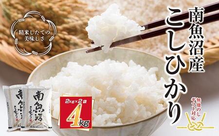 無地熨斗 新潟県 南魚沼産 コシヒカリ こしひかり お米 2kg ×2個 計4kg 精米 魚沼 米 炊き方ガイド付き お中元 お歳暮 gift ギフト プレゼント