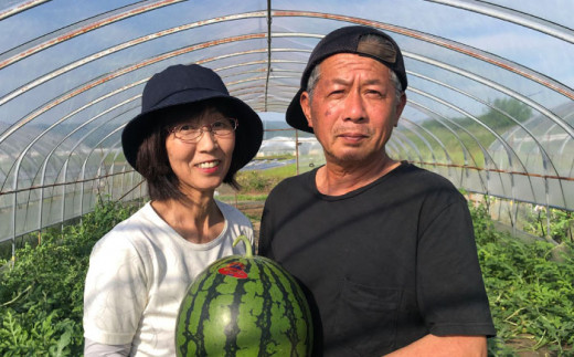 【先行予約】【初夏に実った贈り物】大玉 スイカ 約7kg【なかむら農園】 [ZBH001]