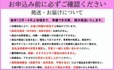 先行予約 いちご とちおとめ 約500g いちご レシピ付
