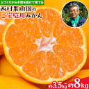 【ふるさと納税】 『西村果樹園』のみかん★ 約3.5kg または 約8kg (2S-2Lサイズ) 【日付指定不可】 フルーツ 旬★熊本県玉名郡玉東町 みかん 減農薬・有機肥料で育てた自慢のおいしさ！《10月上旬-1月下旬頃出荷》