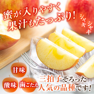 ≪先行受付≫ふじりんご 5kg パック詰め 【2025年11月中旬～順次発送予定】 057-001