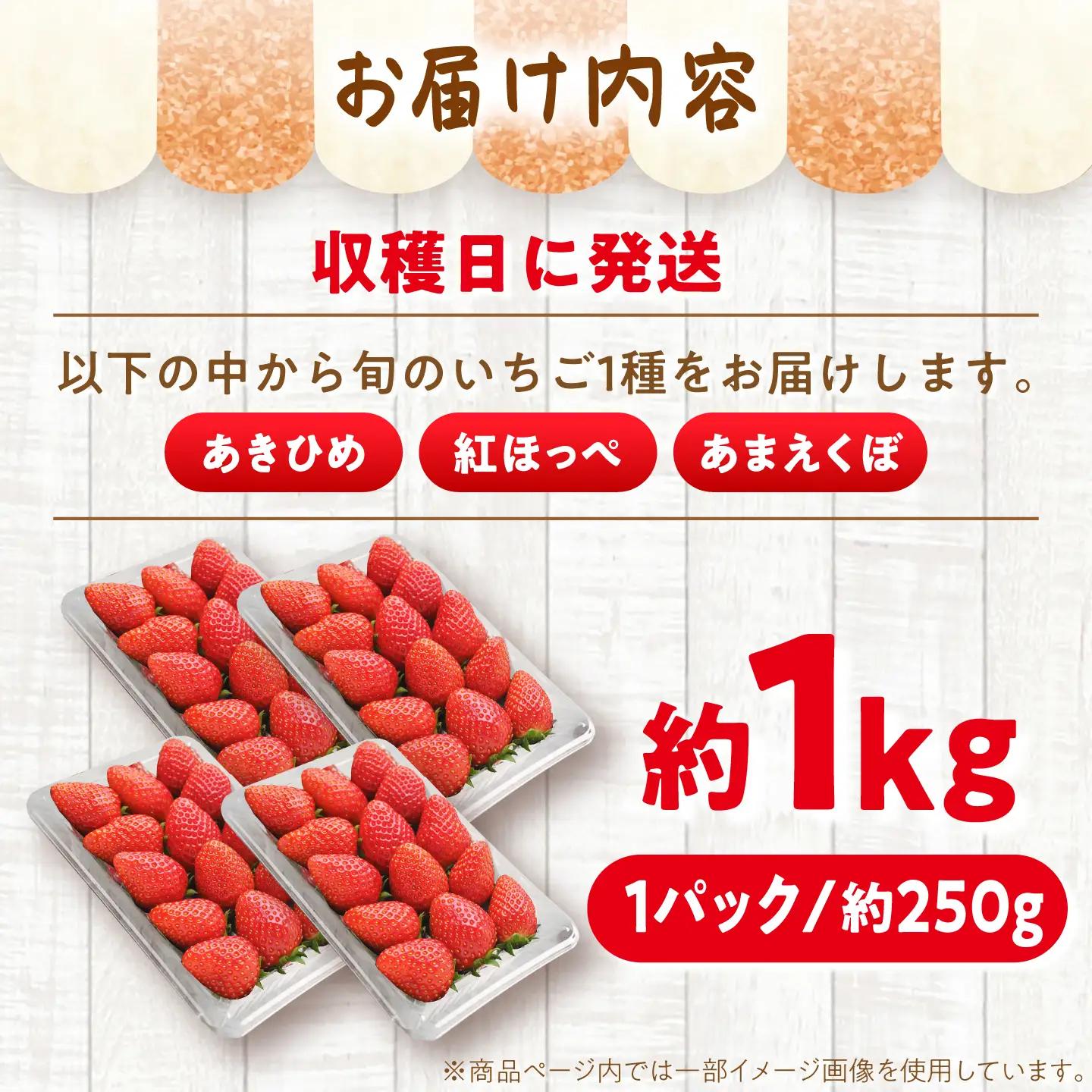 【先行予約】 いちご 250g×4パック / 恵那市 / 阿部農園 [AUGA003] いちご