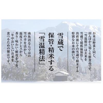 ふるさと納税 南魚沼市 【令和7年産新米予約】南魚沼産 新之助 6kg |  | 02