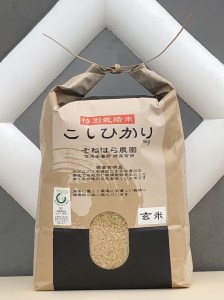 そねはら農園　【穂高有明産】特別栽培米こしひかり「玄米５㎏」　
