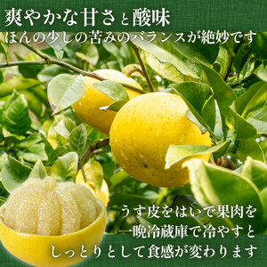 【2025年2月より発送】 高知県産 土佐文旦 ぶんたん 贈答用 5kg 優品 みかん 国産 ブランド 高知 ビタミン 生産者 産地 須崎市 KJS019-x