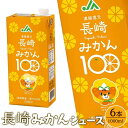 【ふるさと納税】みかんジュース 100％ 1L×6本 大容量 計6L 長崎みかん100＜長崎県産みかん果汁100％＞ | 紙パック 長崎県 長崎 九州 お土産 お取り寄せ ご当地 温州みかん オレンジ 蜜柑 オレンジジュース 果汁100 特産品 飲み物 飲料 先行予約