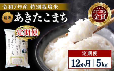【定期便12ヶ月】【令和7年産】特別栽培米 あきたこまち 精米 5kg 【渡部 浩見】[F2121]