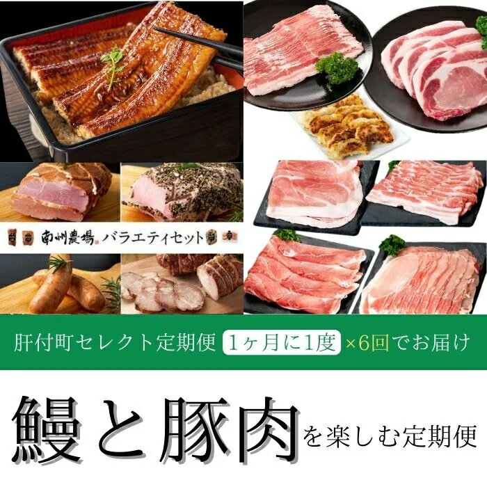 【ふるさと納税】＜定期便・全6回＞肝付町セレクト定期便《鰻と豚肉を楽しむ定期便》 鹿児島 豚肉 鹿児島県産 黒豚 鰻 うなぎ ウナギ とんかつ しゃぶしゃぶ ハム ウィンナー 定期便 セレクト 冷凍 冷凍食品 【株式会社きもつき未来商社そらまち】