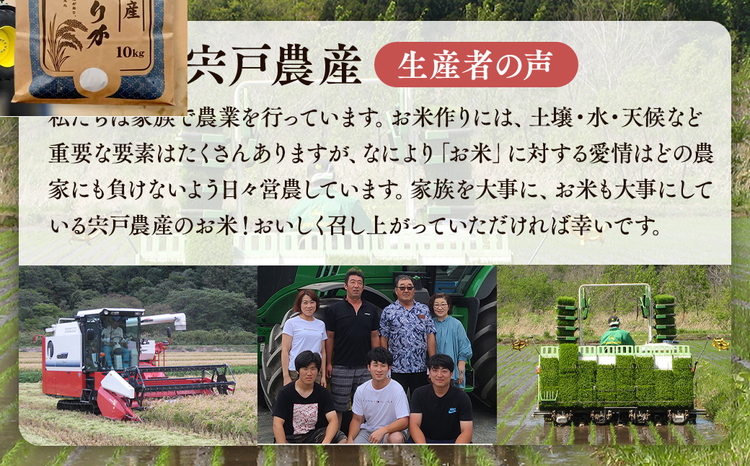 北海道八雲町熊石産 令和7年度産ゆめぴりか10kg(精白米)【 北海道八雲町熊石産 ゆめぴりか 10kg 精白米 米 お米 おこめ コメ こめ おうちごはん 家庭用 八雲町 北海道 】 ※沖縄・離島へ