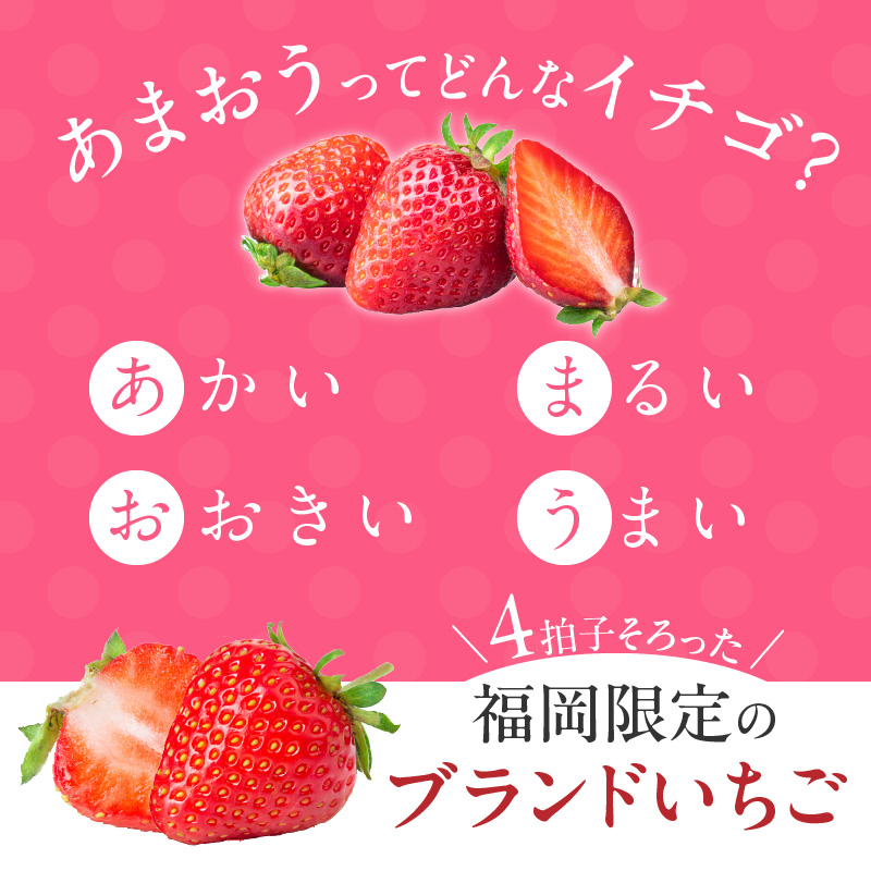 【訳あり】冷凍あまおう（いちご）2kg_訳あり いちご 冷凍 あまおう 2kg 1kg×2袋 福岡 国産 完熟 鮮やかな 赤色 ふっくら 丸い形 食べごたえ 大粒 甘み 酸味 バランス 絶妙 スムージ