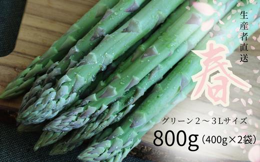 
            【グリーン2～3Lサイズ】朝採りアスパラ800g（400g×2袋 鮮度保持袋入り）【北海道/赤井川村アスパラ研究会】
          