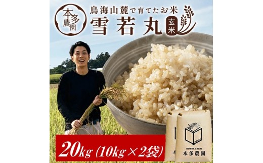 令和7年産【玄米】雪若丸　20kg(10kg×2袋) HO SF0313