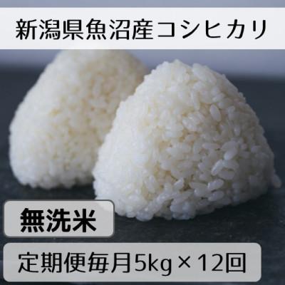 ふるさと納税 十日町市 【毎月定期便】新潟県魚沼産コシヒカリ「山清水米」無洗米5kg全12回