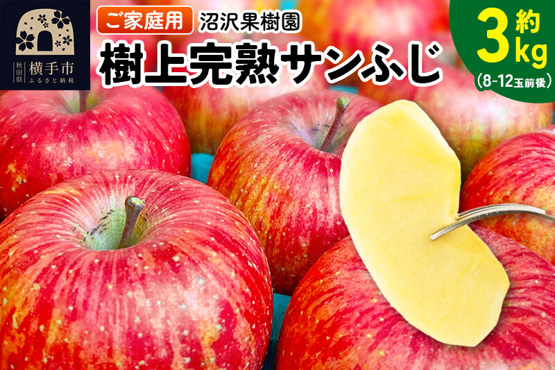 【先行受付】12月上旬より発送 樹上完熟サンふじ ご家庭用 約3kg（8～12玉前後） [先行予約 サンふじ サンフジ 林檎 リンゴ 家庭用 不揃い おまかせ 【りんご】特集]