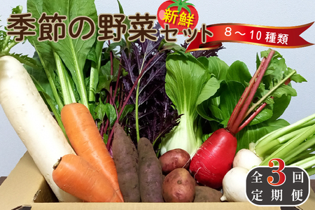 【定期便 全3回】季節の野菜詰め合わせセット（新鮮 採れたて 野菜 セット 定期便 詰め合わせ 宮崎県）