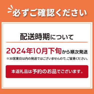 【予約：2024年10月下旬から順次発送】北海道北見市産 りんご 紅将軍 約5kg ( 果物 果実 蜜 旬 季節限定 数量限定 果肉 )【044-0007-2024】