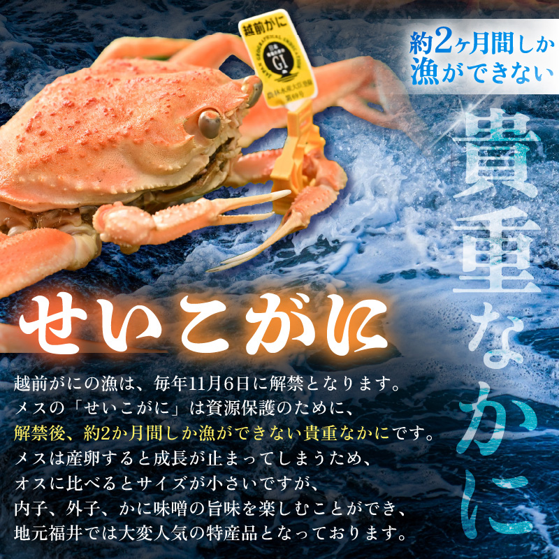 【先行予約】せいこがに甲羅盛り 約70g×2杯 / 期間限定 冷凍 解禁 便利 身出し 小分け ビール おつまみ 越前がに メス 福井 福井県 お取り寄せ カニ 蟹 むき身 ポーション 甲羅盛 ボイル
