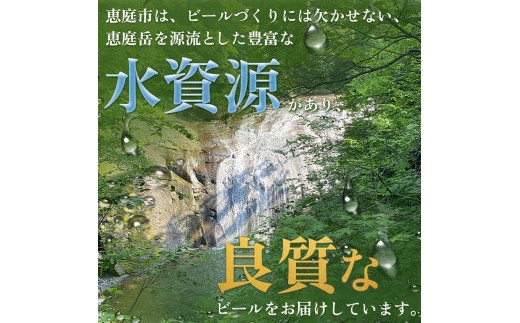 【ビール飲み比べ定期便：全6回】サッポロクラシックとヱビスビール各350×24本