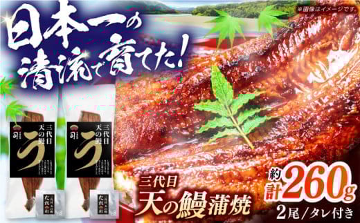 土佐料理司 三代目天の鰻蒲焼2尾セット 高知市 春野町産/着日指定可能 【株式会社土佐料理司】 [ATAD020] うなぎ 鰻 ウナギ  国産 うなぎ蒲焼 高知 うな重 うな丼 ひつまぶし 鰻蒲焼き