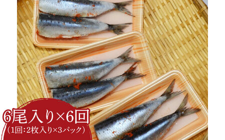 【全6回定期便】ピリ辛 いわし明太6尾 [ABCJ076] 