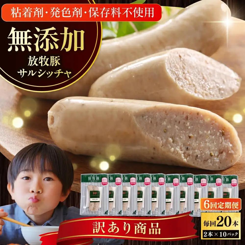 【全6回定期便】【訳あり】【結着剤・発色剤・保存料不使用】 放牧豚 サルシッチャ 2本x10セット（90g/パック） 訳あり ソーセージ ウインナー 無塩せき 冷凍配送 セット 詰め合わせ 北海道 [AXBA076]