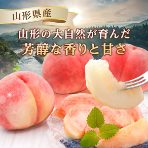 《先行受付》★硬い白桃（品種おまかせ）★約3kg(6～12玉程度)秀品【2026年8月中旬頃～順次発送予定】 063-016