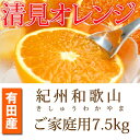 【ふるさと納税】【ご家庭用訳アリ】紀州有田産清見オレンジ　7.5kg【2025年3月下旬以降発送】【先行予約】【UT54】 | 和歌山県 和歌山市 和歌山 楽天ふるさと 支援品 返礼品 お取り寄せグルメ取り寄せ フルーツ 果物 くだもの オレンジ 清見オレンジ 柑橘 柑橘類 訳あり