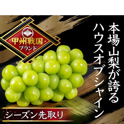 【ふるさと納税】【1年で今しか食べられない】幻のハウスオブシャインマスカット心行くまで堪能2026年6月上旬発送【配送不可地域：離島】【1495005】