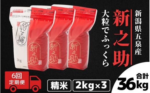 【令和7年産】〈6回定期便〉 新之助 精米 6kg（2kg×3袋）新潟県 五泉市 有限会社ファームみなみの郷