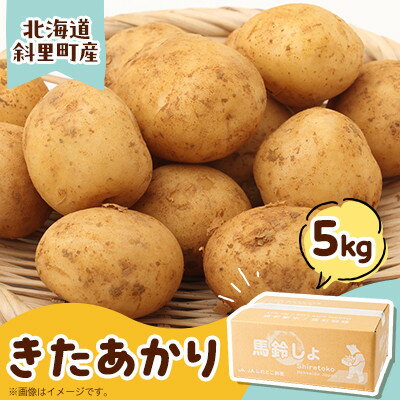 【ふるさと納税】知床の大自然が育む黄金色の極上芋　きたあかり　5kg【配送不可地域：離島・沖縄県】【1537870】