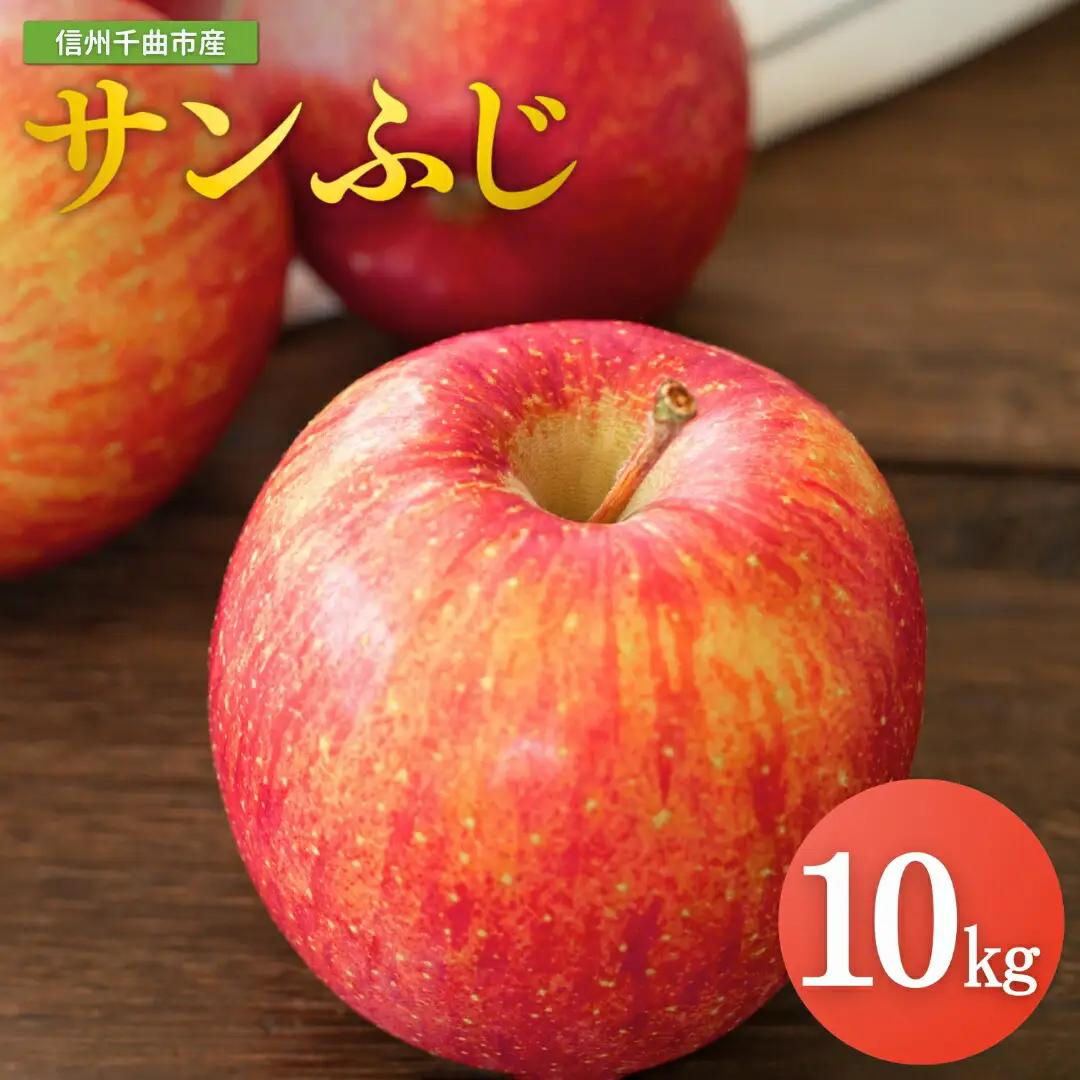 【2026年先行予約】りんご サンふじ 約10kg＜中島農園＞|りんご