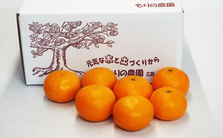 はれひめ「みかんの甘み」と「オレンジの香り」の新品種！3kg