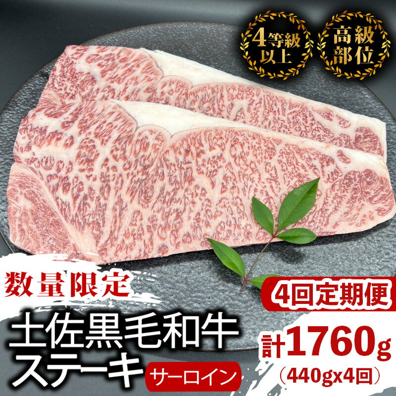 【ふるさと納税】 【定期便4回】土佐黒毛和牛サーロインステーキ 計1.76kg（440g×4ヶ月連続お届け) 2Rコース | 特撰 サーロイン肉 最上位等級 A4 A5 最高 ランク 贅沢 厚切り ステーキ用 焼肉用 キャンプ飯 国産 牛肉 高知県 須崎市 TM46000