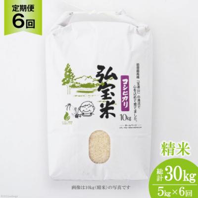 ふるさと納税 宝達志水町 【6回 定期便 】米 コシヒカリ「弘宝米」 精米 5kg 総計 30kg [38601283]