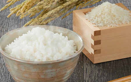 魚沼産コシヒカリ 3kg×2袋 小千谷米穀 魚沼地域