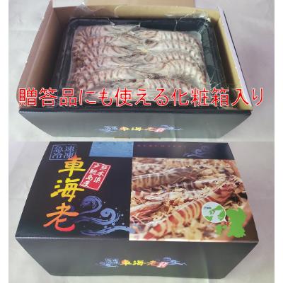 ふるさと納税 宇城市 【特殊冷凍】車海老1kg (大サイズ厳選品)(24~32尾) 水揚げ即真空パック&瞬間冷凍で鮮度抜群 |  | 03