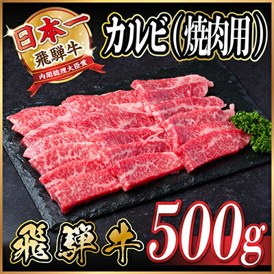 【ふるさと納税】飛騨牛　厳選カルビ(焼肉・BBQ用)500g～【冷凍便】A4～A5等級　黒毛和牛 【配送不可地域：離島】【G1487353】