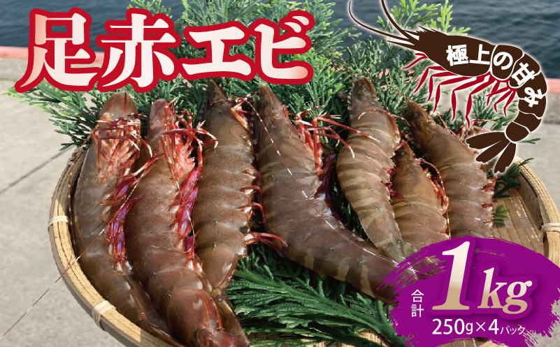 足赤エビ 1kg【国産 えび 天然 ぷりぷり 海鮮 水揚げ 生食可 大阪 泉佐野 大阪府 泉佐野市】