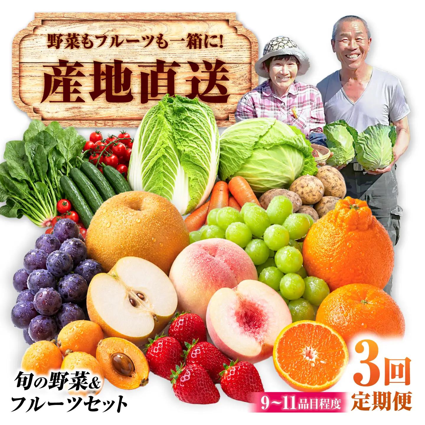 【3回定期便】【産地直送】長崎県諫早産 旬の野菜＆フルーツ詰め合わせ 9・11品目程度 季節のおまかせセット / 野菜 フルーツ 果物 セット 詰め合わせ 旬野菜セット 旬のフルーツ 旬 食べ比べ 産地直送 健康 / 諫早市 / 肥前グローカル株式会社[AHDI016]