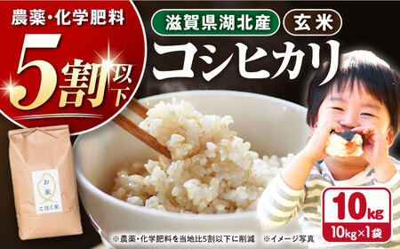 【令和7年産新米】減農薬米 近江米 湖北のコシヒカリ 玄米10kg[AQAK003] 玄米