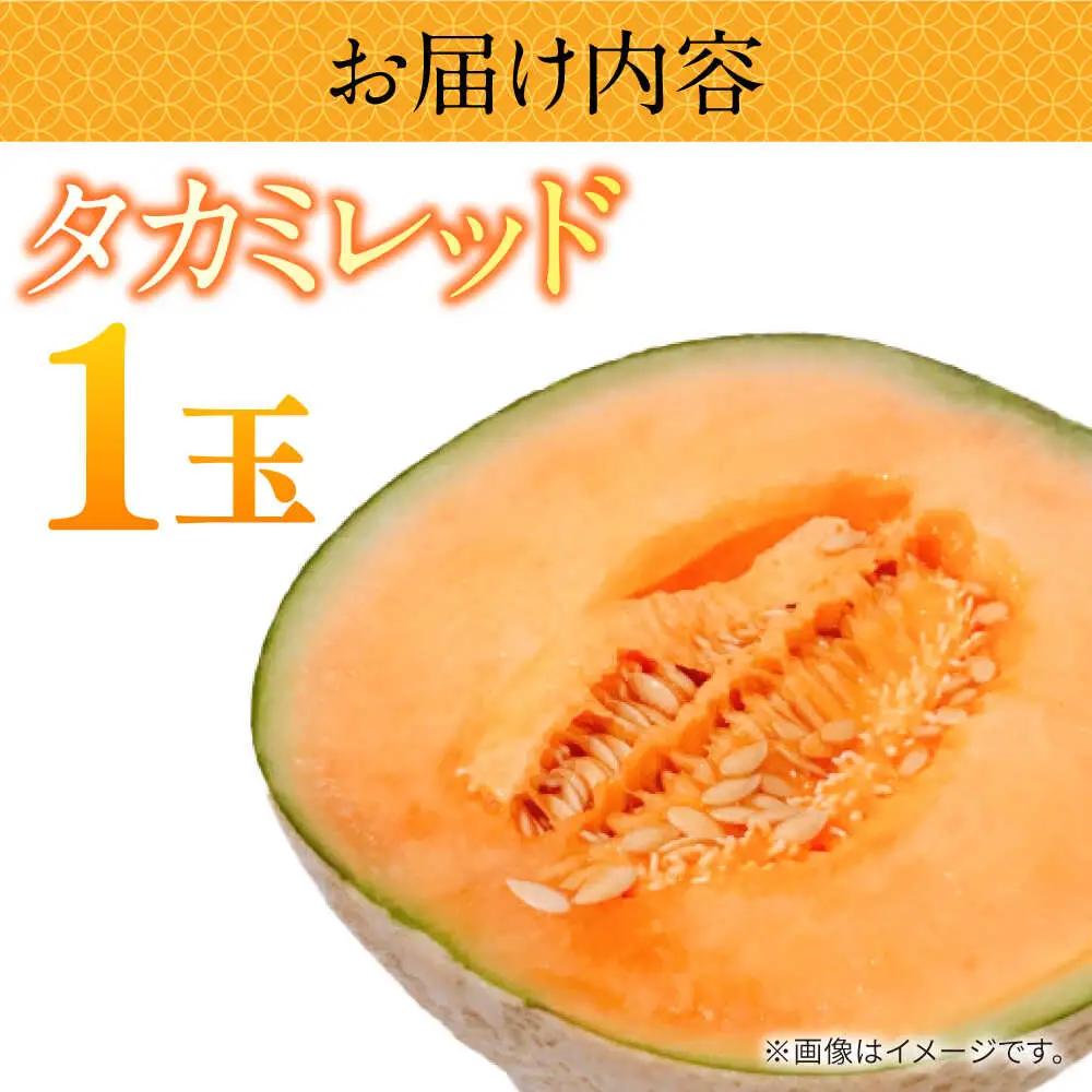 【2027年5月-発送】タカミメロン レッド 1玉 / メロン めろん フルーツ 果物 / 南島原市 / 南島原果物屋[SCV029]