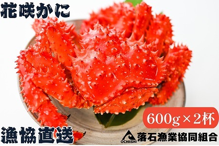 【北海道根室産】花咲がに600g前後×2尾 B-20001